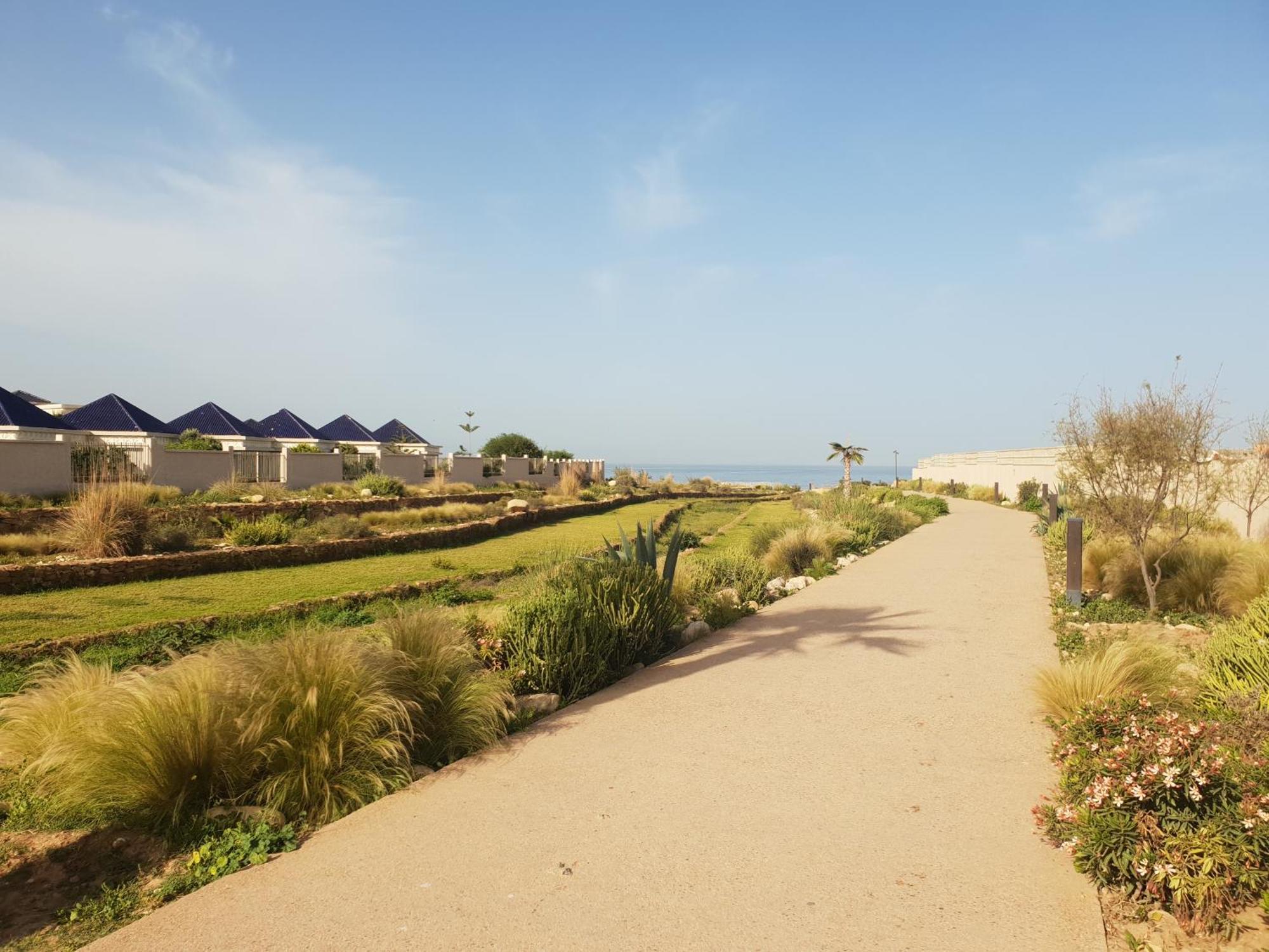 Riad Dar Haven Tamraght Ngoại thất bức ảnh