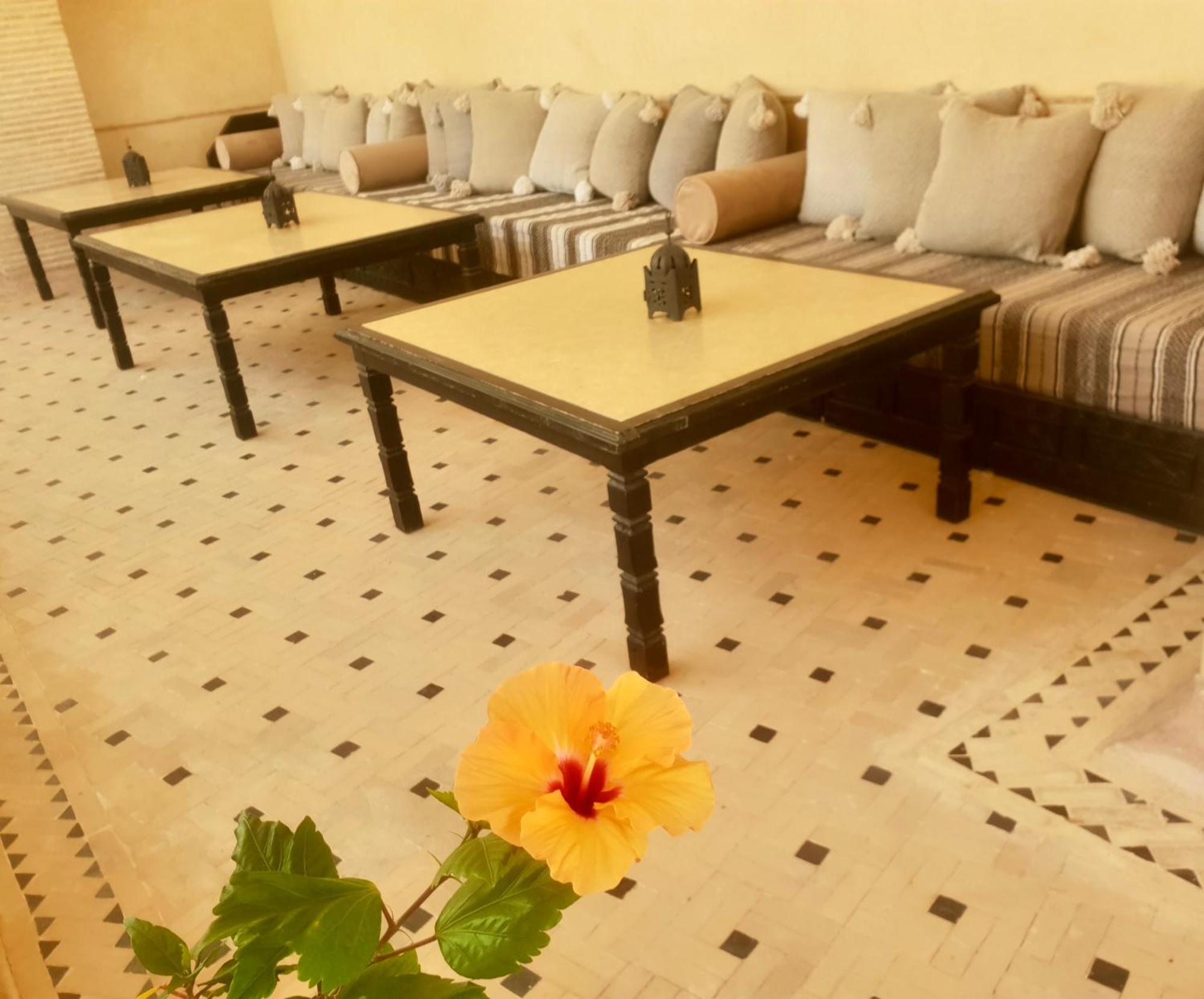 Riad Dar Haven Tamraght Ngoại thất bức ảnh
