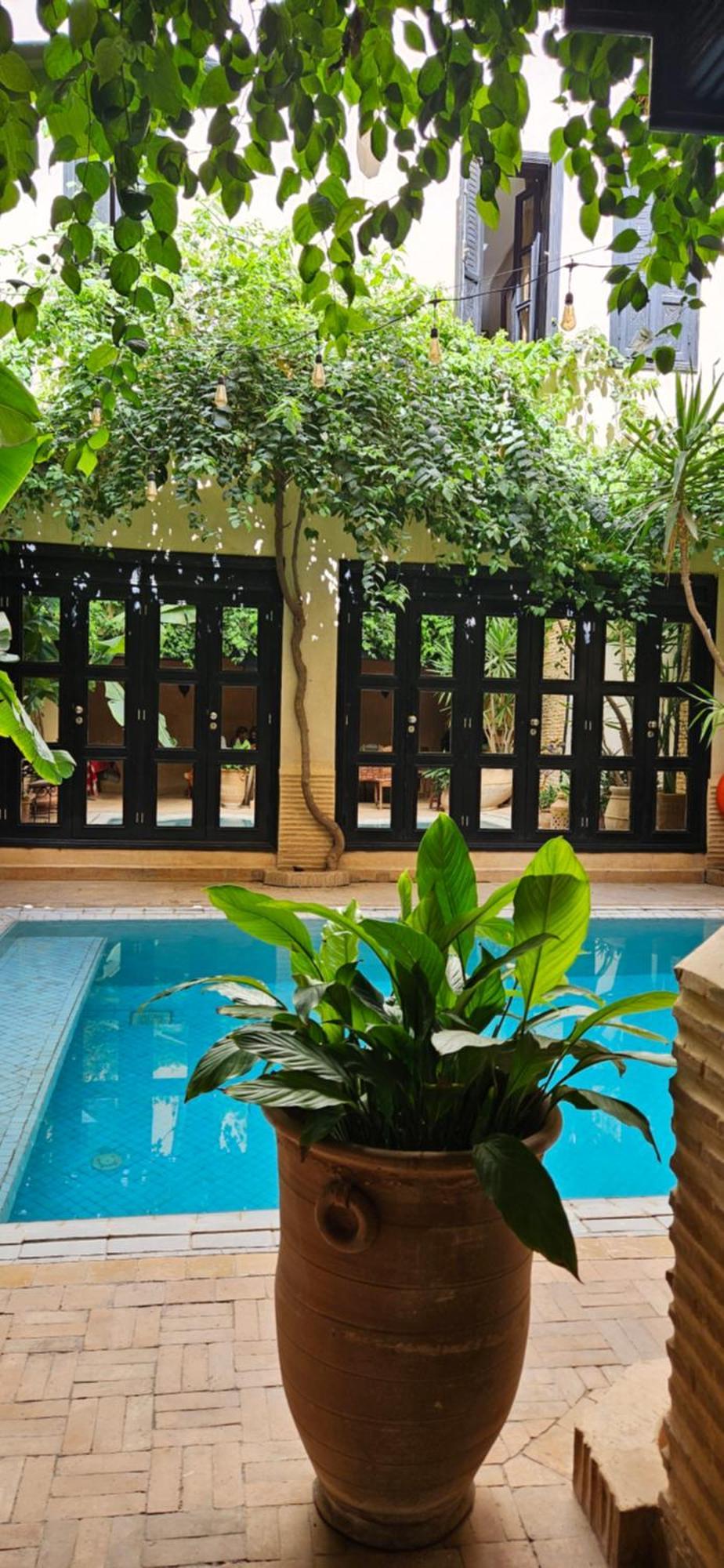 Riad Dar Haven Tamraght Ngoại thất bức ảnh